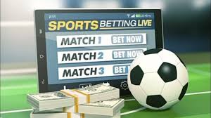 Everything You Need to Know About Meridian Bet 6 Everything You Need to Know About Meridian Bet 6