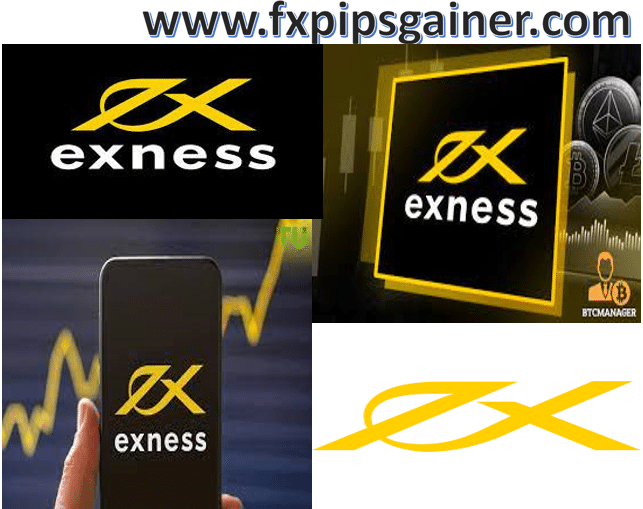 The Ultimate Guide to Exness Margin Calculator 1 The Ultimate Guide to Exness Margin Calculator 1